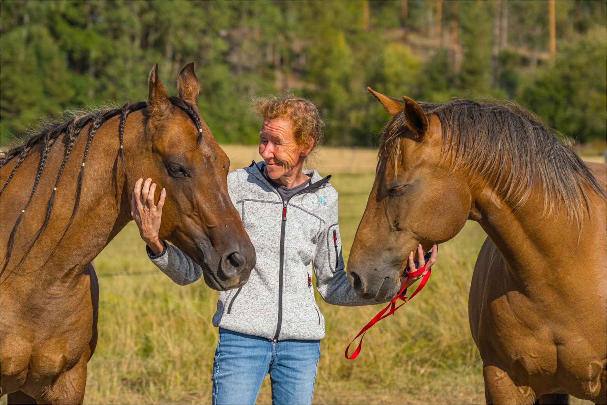 Lady Malin Melin: Overcoming Adversity to Excel in the Equestrian World