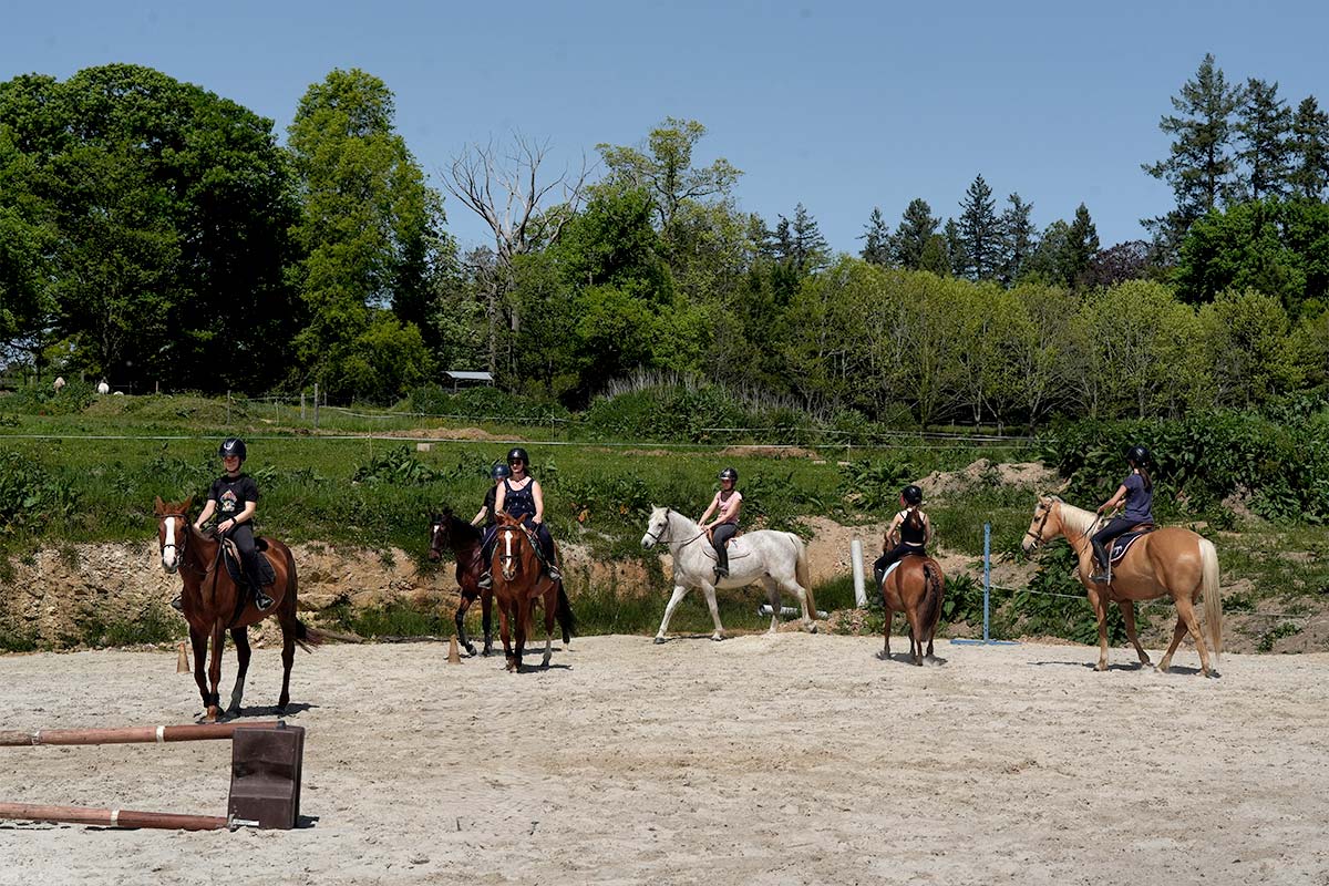 À la rencontre de Loreine Doirisse: une vie dédiée aux chevaux, au cœur du Limousin
