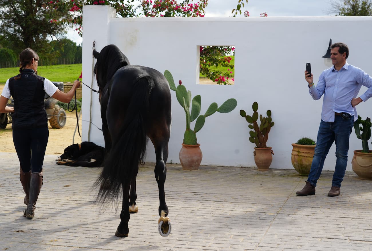 En el corazón del rejoneo: una jornada con Lea Vicens y sus caballos