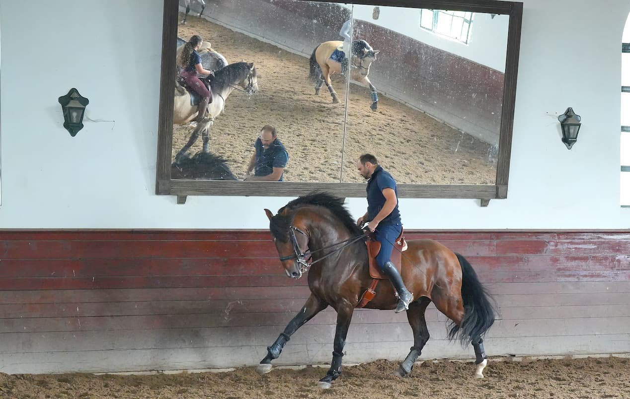 En la tierra del campeón: una mañana con Gilberto Filipe en la Quinta da Horta