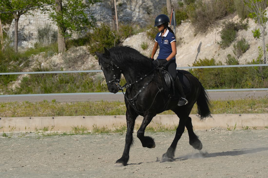 Una tarde de abril entre caballos: Thor, Germán y la calma de la Hípica de Cuarte