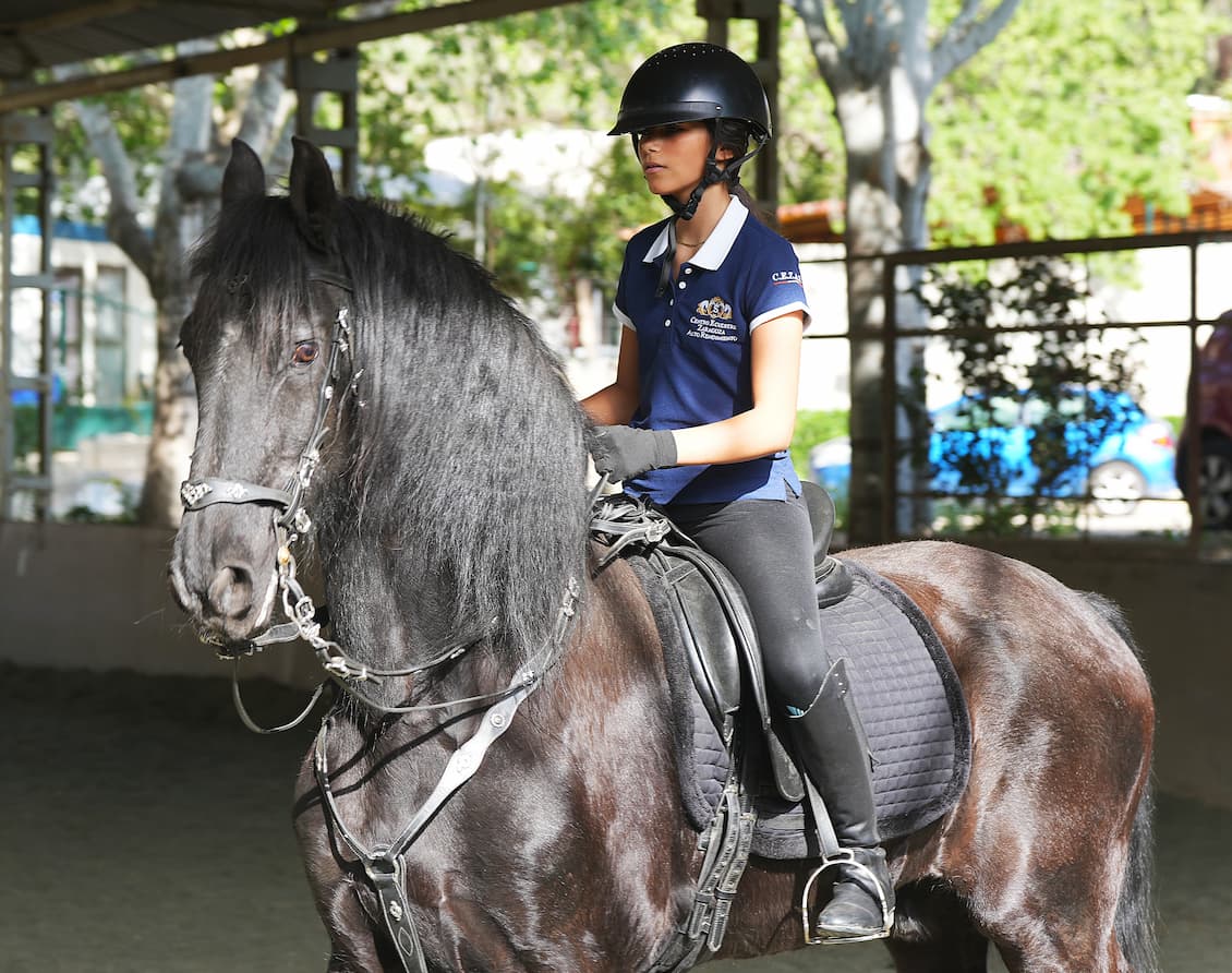 El calor y el bienestar de nuestros caballos