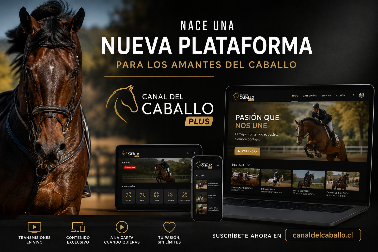 Canal del Caballo Plus: Nueva plataforma Iberoamericana