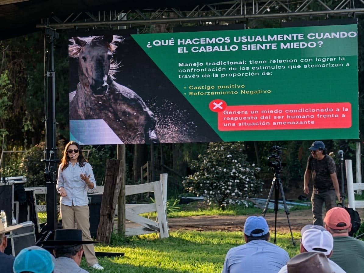 Psicología Equina: la ciencia que nos enseña a comprender la mente del caballo